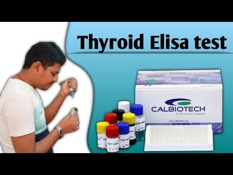SANDWICH ELISA TSH 🔥1st proper test on YouTube India ||Elisa test procedure|| #elisa #thyroid