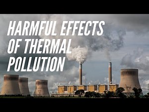Harmful Effects Of Thermal Pollution
