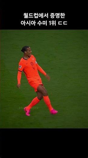 월드컵에서 증명한 아시아 수미 1위 ㄷㄷ