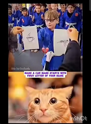 cat meme day 10 #edit #trending #usa
