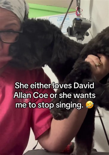 The Pet Grooming Studio on Reels