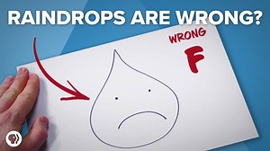 What do raindrops look like? Exactly how we drew them as kids, right? Wrong! Teardrop-shaped rain is physically impossible. I went inside a vertical wind tunnel to bring you the true shape of rain. | Be Smart • PBS