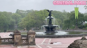 81K views · 4.2K reactions | CENTRAL PARK, NYC, UNITED STATES  | New York - New York | Facebook