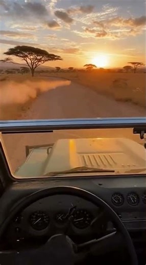 I Caught a Road Runner Beating a Cheetah on My Safari Dashcam