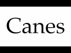 How to Pronounce Canes