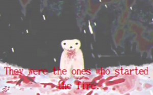 Polar Bear 29.09.2026