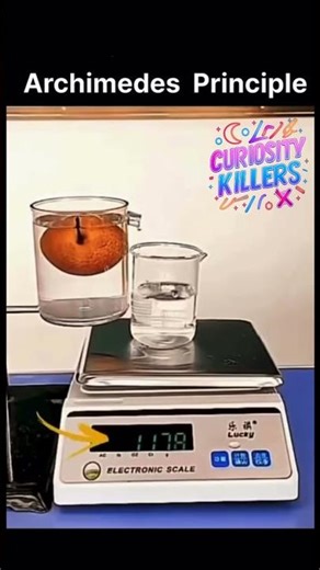 The Secret to Floating Ships! Archimedes' Principle Visualized #archimedesprinciple #physics #facts