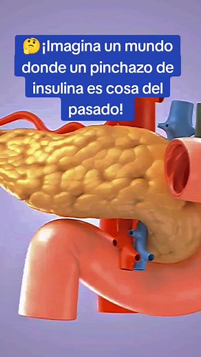 🤓Células Betas, la esperanza para los Diabéticos. Te imaginas un mundo sin Diabetes. Quédate con nosotros y aprende acerca de los nuevos tratamientos para la Diabetes. 😊Descubre como puede cambiar tu vida! #celulasbetadelpancreas #diabetestipo1 #diabeticostipo2 #estadosunidos🇺🇸 #recetasparadiabeticos #diabetesawareness #diabetescheck #glucosa #insulina #diabetes #fyp #fypシ゚viral