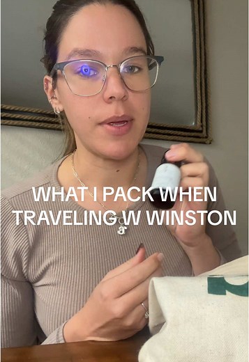 What to Pack for Traveling with Your Dog