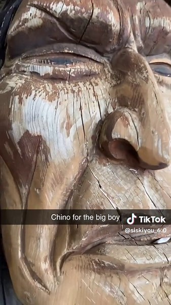 They call him the zyndian #fyp #zyn