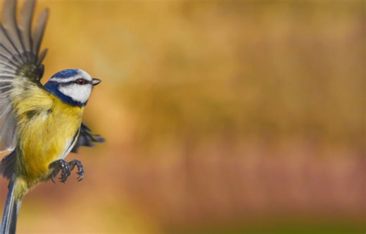 The Art of the Possible: Generative AI