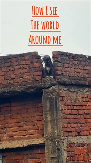 Akash_kr on Instagram: "The Art of Noticing 💕"