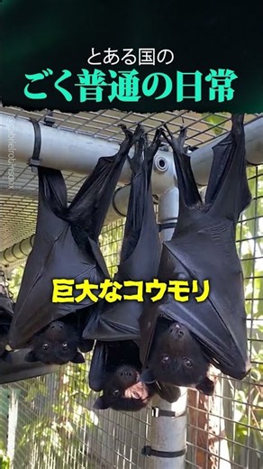 本当に住みやすい国