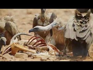 Learn basic first aid.