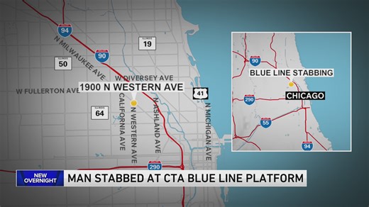 Man injured after argument leads to stabbing on Blue Line platform overnight