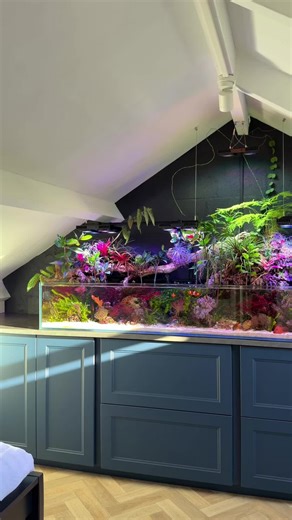 Let’s check out my saltwater paludarium! What do you think? 👀🪸 #aquarium #reeftank #fishtank #ecosystem #hobby