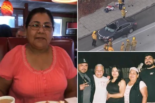 California grandmother killed after suicidal man jumps off highway overpass and lands on her car