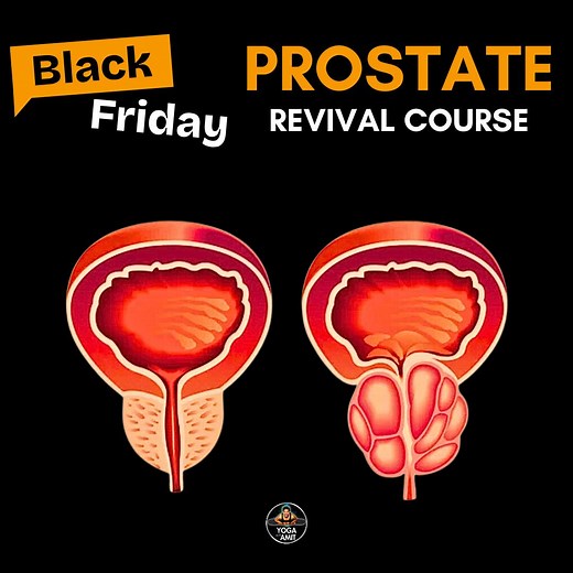Black Friday Offer My Prostate Revival Complete Course is now available at a special discount for 72 hours only. Regular price: $125 Black Friday price: $55 Special price using Binance Pay: $49 If you wish to pay via the usual methods (card/PayPal), you can purchase directly here: https://yogawithamit.com/prostate-course/ If you want the special $49 Binance Pay price, please comment or message me with the words “Binance Pay”, and I will send the payment details (info@yogawithamit.com) This cours