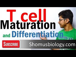T cell maturation and differentiation Video Lecture | Crash Course for CSIR NET Life Sciences (English)