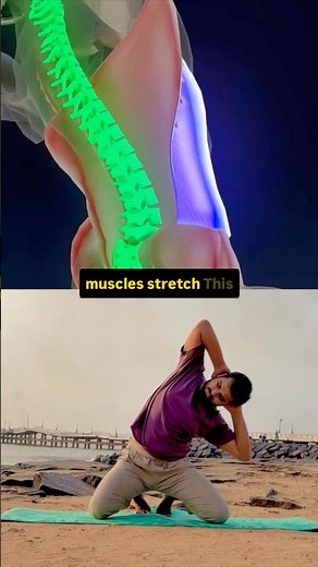 Side Bend Yoga for Spinal Mobility | Improve Flexibility & Reduce Waist and Back Stiffness
