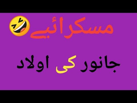 Funny jokes \funny video