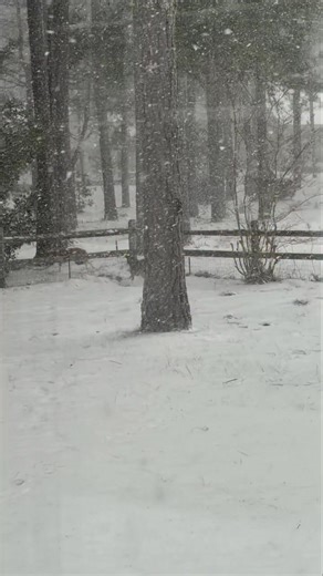 Pretty good snowfall Saturday in Pinehurst, Moore County, NC. Humans & dogs having fun in a few inches of fresh powder. Still waiting on more snow here in Wake County, which we should see into Saturday night. At least the dry air isn’t winning everywhere! Thanks to Phil for the video. | Weather Wes Hohenstein