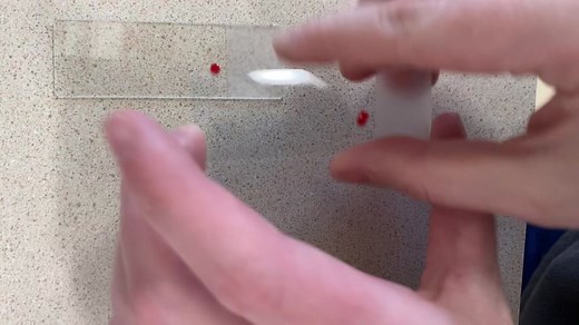 Ashley Marrama (@aekashley)’s videos with original sound - Ashley Marrama