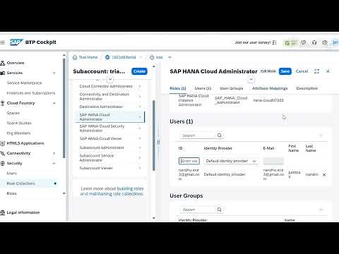 Configuring SAP BTP: Enable Cloud Foundry & Create SAP HANA Cloud Instance