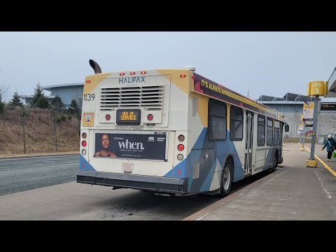 A ride on my favourite bus (Part 1)