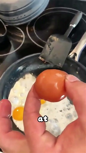 Cracking open a giant egg, I never expected what was inside