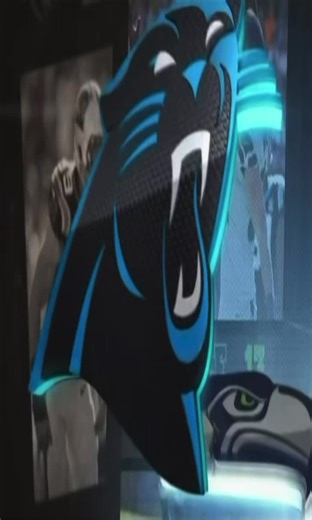 Carolina vs. Seattle: NFC Divisional Round Highlights