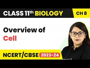 Overview of Cell - Cell: The Unit of Life | Class 11 Biology
