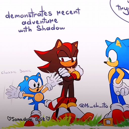 Exploring the Sonadow Relationship: Shadow and Sonic Dynamics