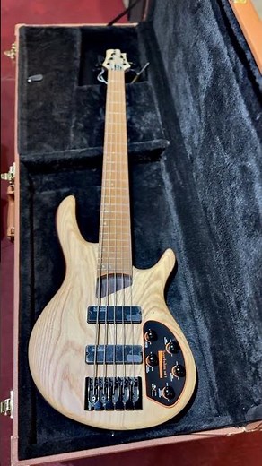 Cort B-5 Element 5-String Bass Guitar with Bag - Open Pore Natural