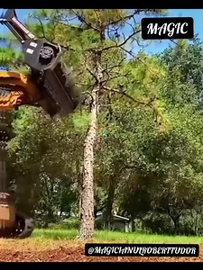 This is the future for Romania… | Magicianul Robert Tudor