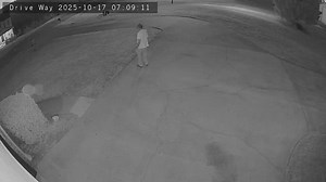 1.3K views | Tara Strong on Reels | Facebook