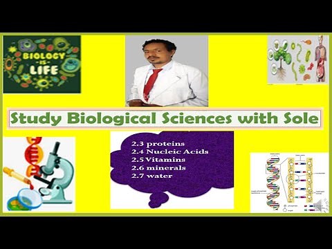 General Biology; chapter 2 part II; protein, nucleic acids, vitamins, minerals and water