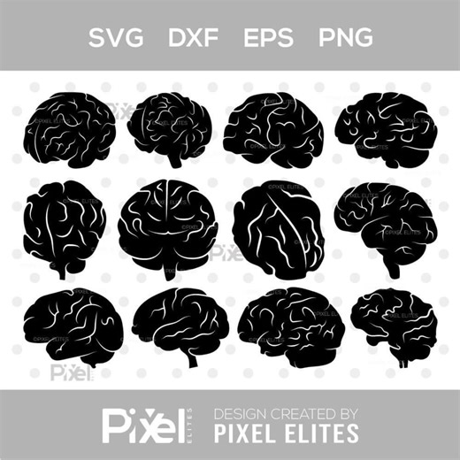 Human Brain SVG Bundle | Brain Silhouette SVG, Outline Brain Anatomy Cut Files | Dxf, Eps, Png - Etsy