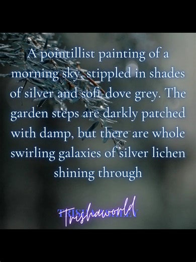 Visually impaired version! A pointillist painting of a morning sky, stippled in shades of silver and soft dove grey. The garden steps are darkly patched with damp, but there are whole swirling galaxies of silver lichen shining through. #trishaashley #morning #trishaworld #blind #visualimpairment