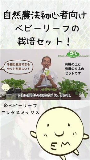 [Baby Leaf] Natural Farming Cultivation Kit for Beginners #HomeGardeningBeginners #NaturalFarming...