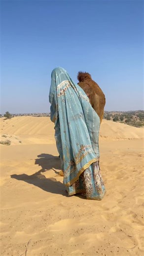 @goats82101 on Instagram: "#camel #sheep #goa"