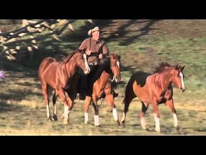 This Is Parelli! Greatest Moments Reel!