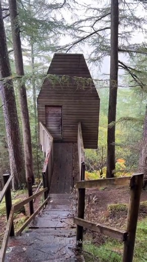 The Fabulous Scottish Highlands 💚 📸 @adell.explores 📌 Scottish Highlands 🥾 West Highland Way . . . #hillwalktours #hikingadventures #hiking #optoutside #nature #idhikethat #westhighlandway #hiking #scotland #hiddenscotland #visitscotland #highlands #hikinguk #hikingscotland #somewhereinscotland | Hillwalk Tours