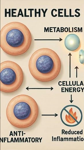 “What grows underwater can change your health (and nobody knows it)