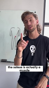 referred pain is so rude...but so real. One trigger point to note is the soleus. It's a muscle in your leg that refers the pain to your low back. Want to know the good news? You can help decrease this pain by rolling out the soleus! Trigger point therapy is super effective. Try our 3-in-1 roller to get deep in that soleus muscle and relieve that tension. #triggerpointtherapy #soleus #lowbackpain | Chirp