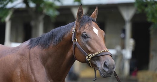 2025 Haskell Stakes (FULL RACE) | NBC Sports