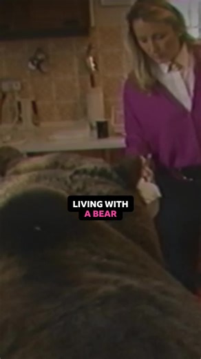 Hercules: The Grizzly Bear Who Changed Lives