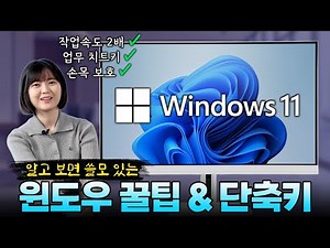 한 번 보면 안 까먹는 윈도우11 꿀팁 & 단축키