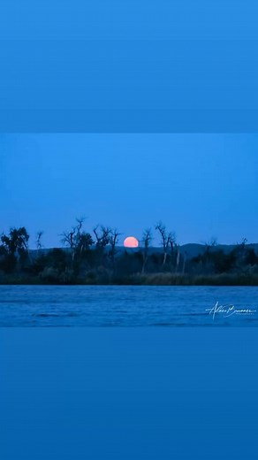 Strawberry Moon, June 10, 2025. The full moon is not actually pink, but in some of these photos it appears to be! It is called Strawberry because June is the time to harvest strawberries. This moon was the lowest moon altitude in the sky, at about 24 degrees above the southern horizon, until 2043. Missouri River, Central SD | Focus on Nature with Aileen