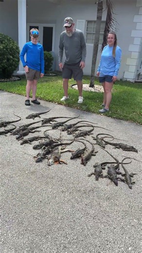 Ohio came out for a day iguana hunting! #reptiles #alligatorsnappingturtle #iguana #fishing